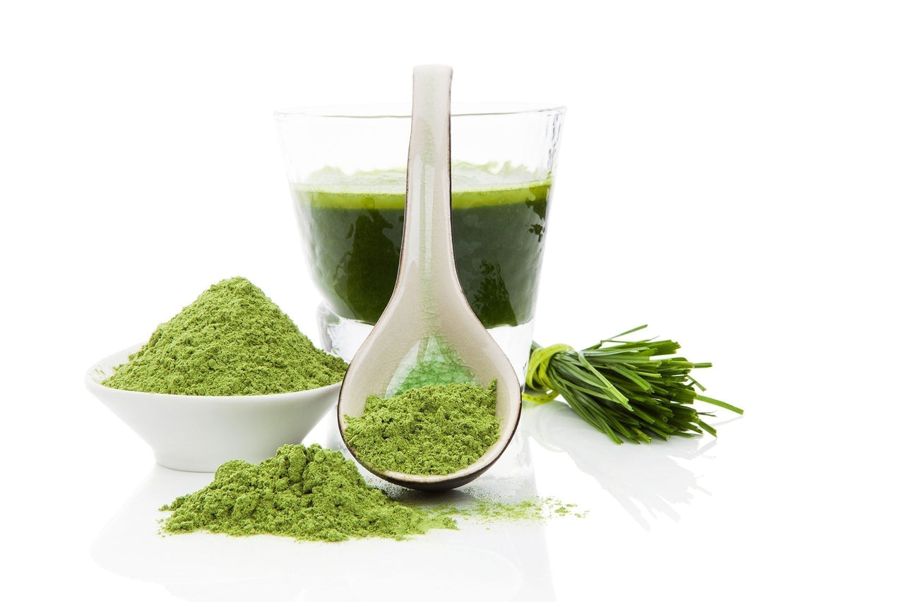 bulk wheatgrass powder