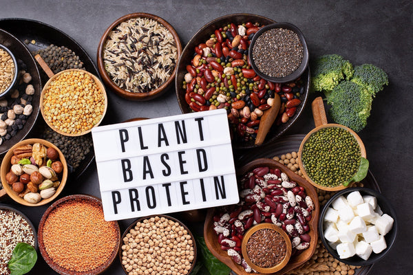 Bulk plant-based protein products 